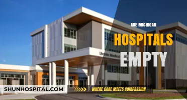 Are Michigan Hospitals Empty? Unraveling the Truth Behind the Claims