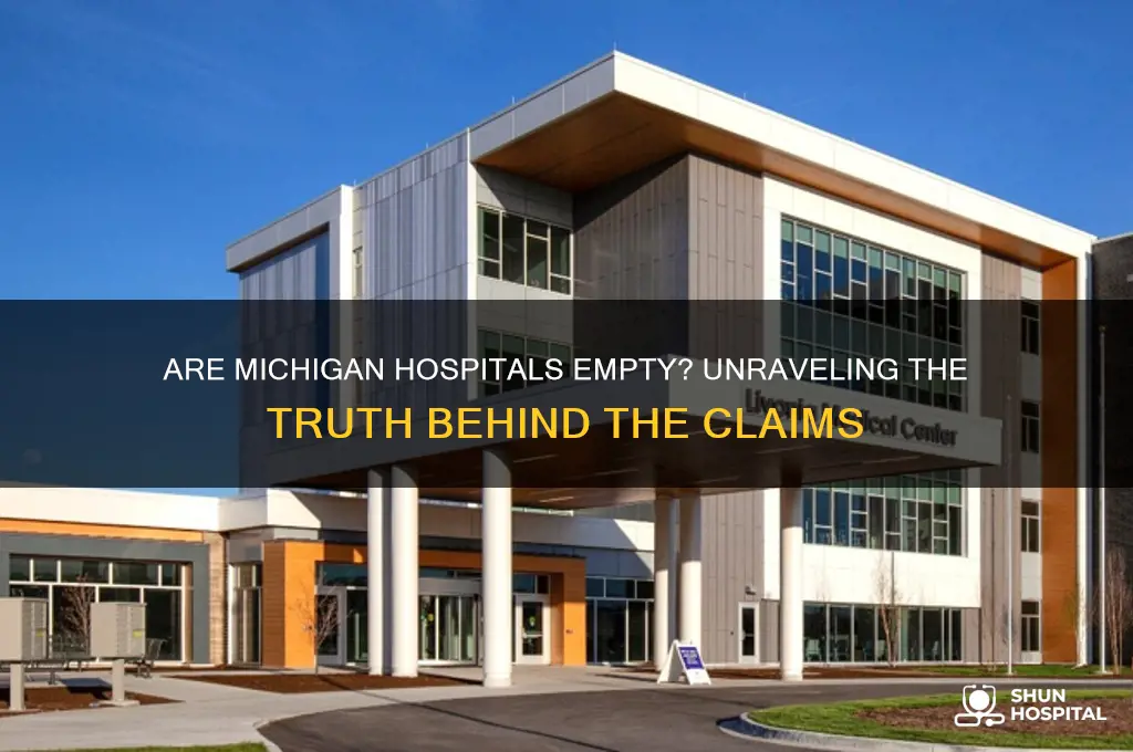 are michigan hospitals empty