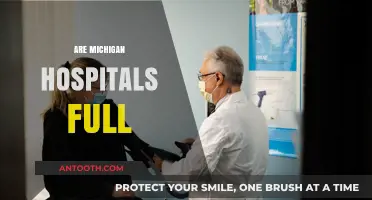 Are Michigan Hospitals at Capacity? Exploring Current Healthcare Strains