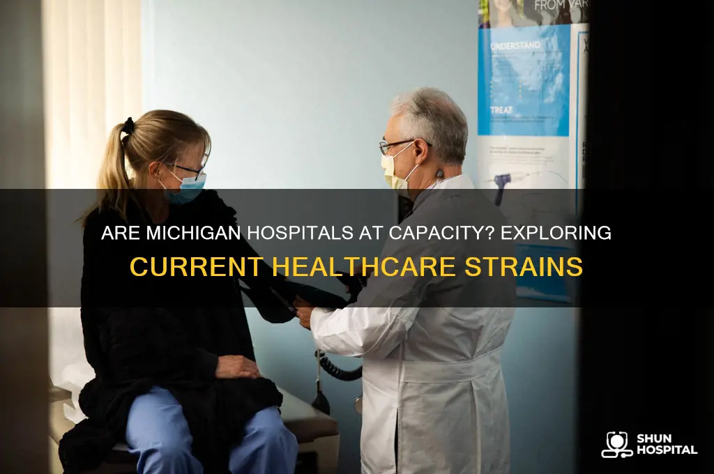 are michigan hospitals full