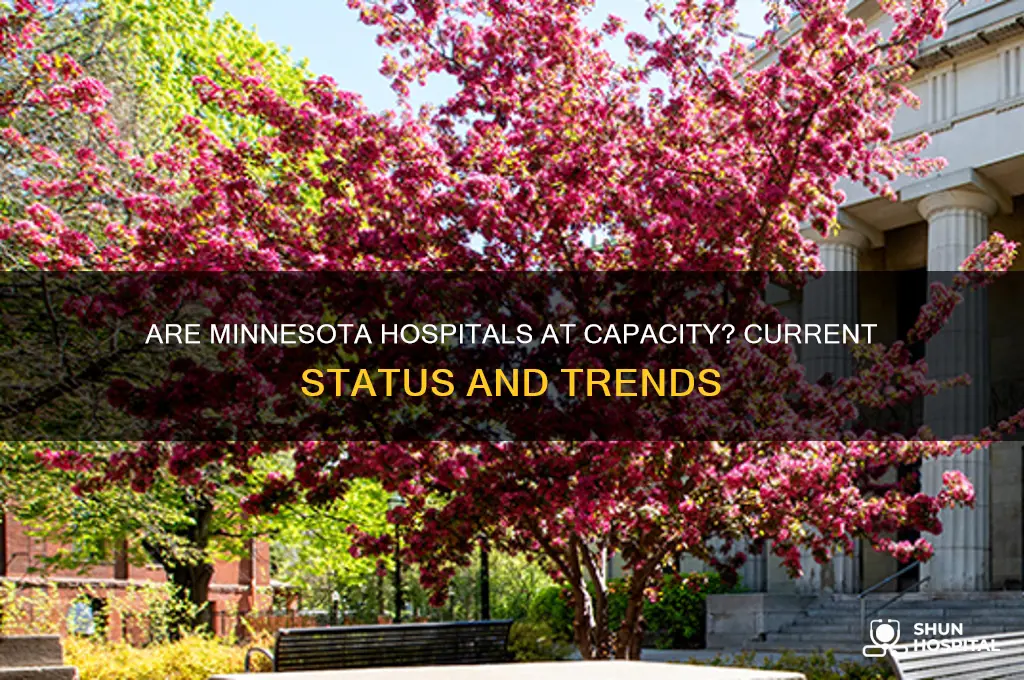 are minnesota hospitals full