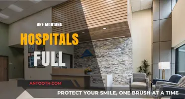 Montana Hospitals at Capacity: Examining the Current Healthcare Crisis