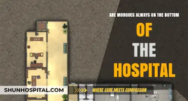 Morgue Locations: Why Are They Often Found Below Hospitals?