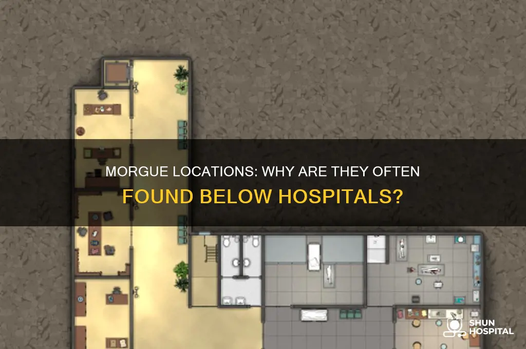 are morgues always on the bottom of the hospital