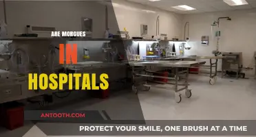 Are Morgues in Hospitals? Unraveling the Truth Behind Mortuary Locations