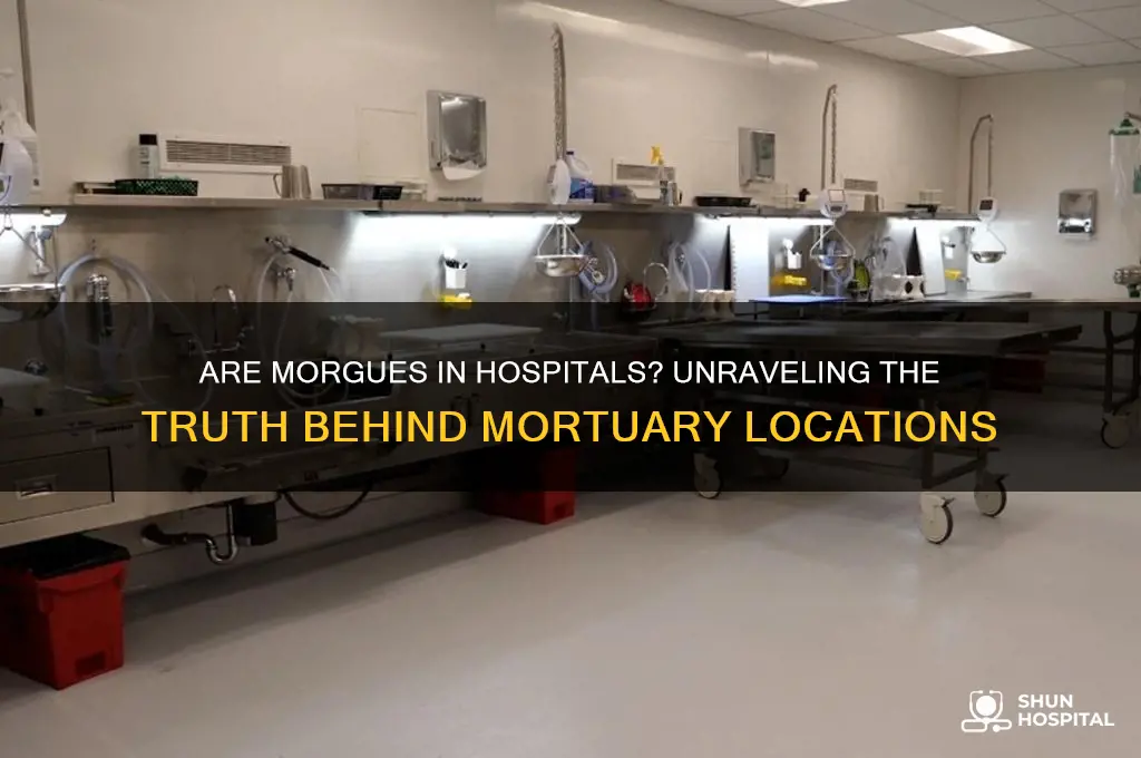 are morgues in hospitals