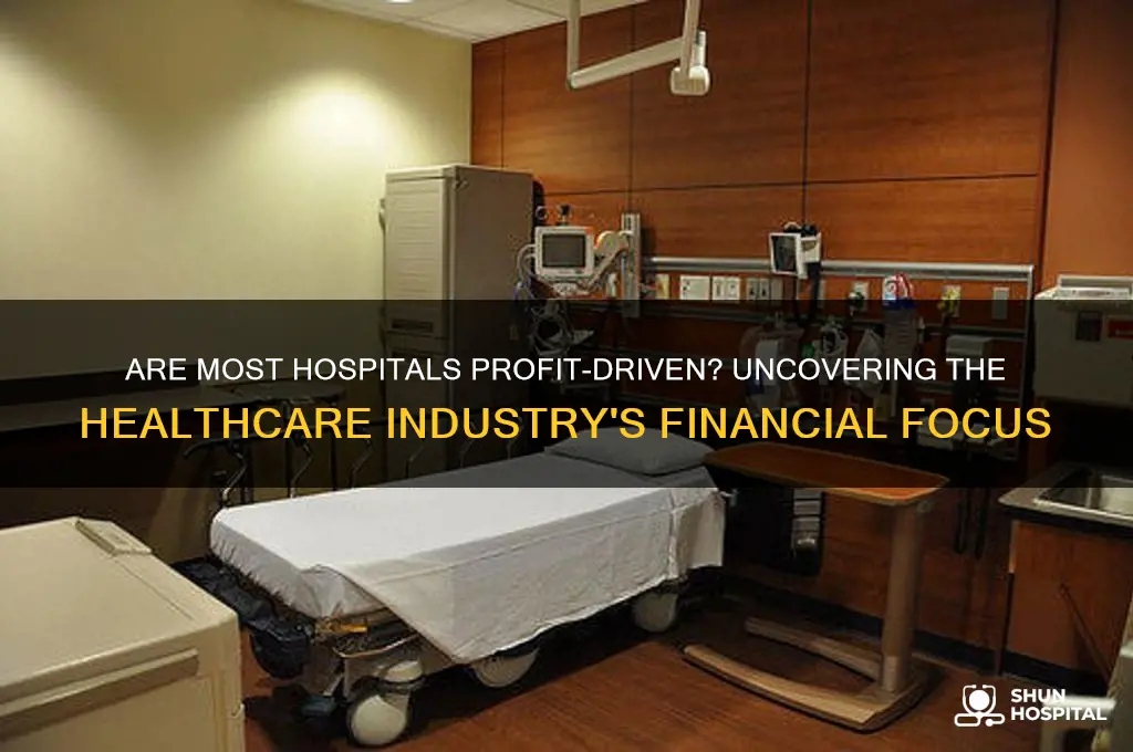 are most hospitals for profit
