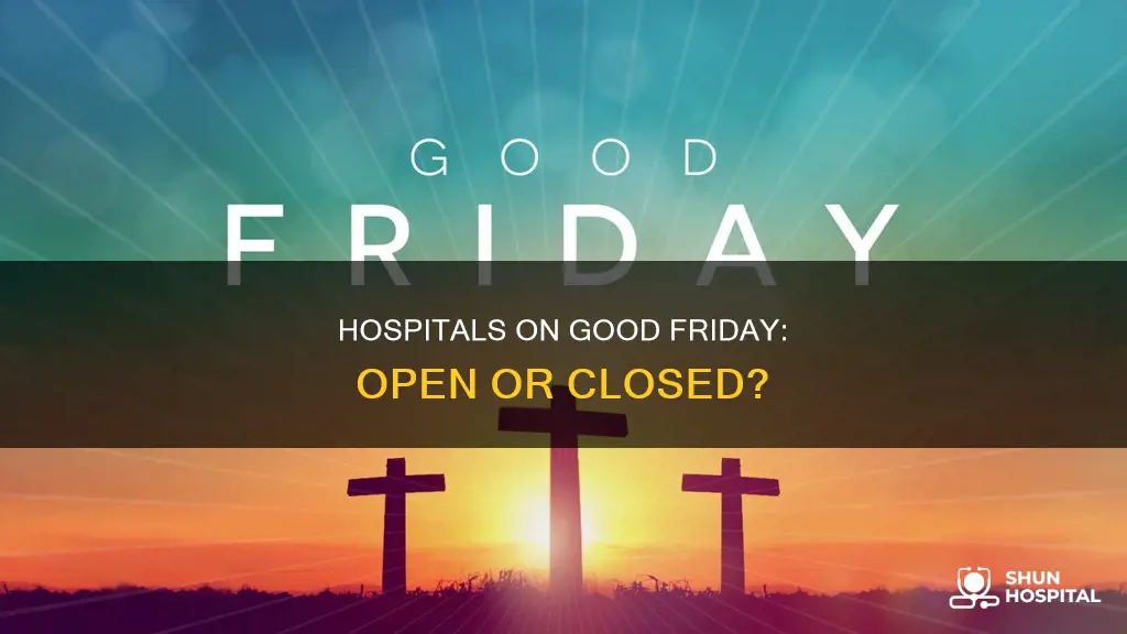 are most hospitals open on good friday