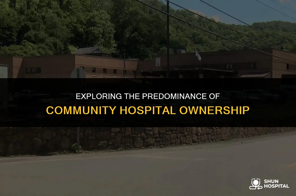 are most ownership of community hospitals