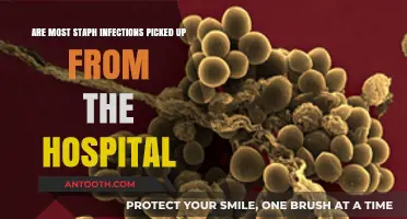Hospital-Acquired Staph Infections: How Common Are They Really?