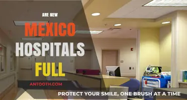 Are New Mexico Hospitals at Capacity? Current Status and Challenges