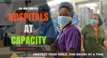 NYC Hospitals: Overcrowded or Capable?