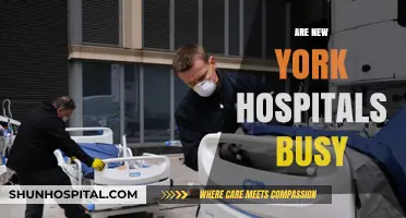 Are New York Hospitals Overwhelmed? Exploring the City's Healthcare Demand