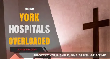 Are New York Hospitals Overloaded? Examining Capacity and Patient Care