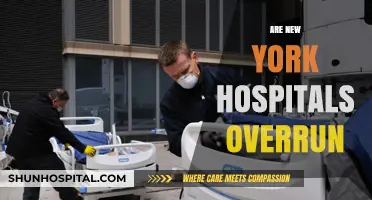 Are New York Hospitals Overwhelmed? Examining the Current Healthcare Crisis