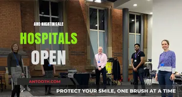 Are Nightingale Hospitals Still Operational? Current Status and Updates