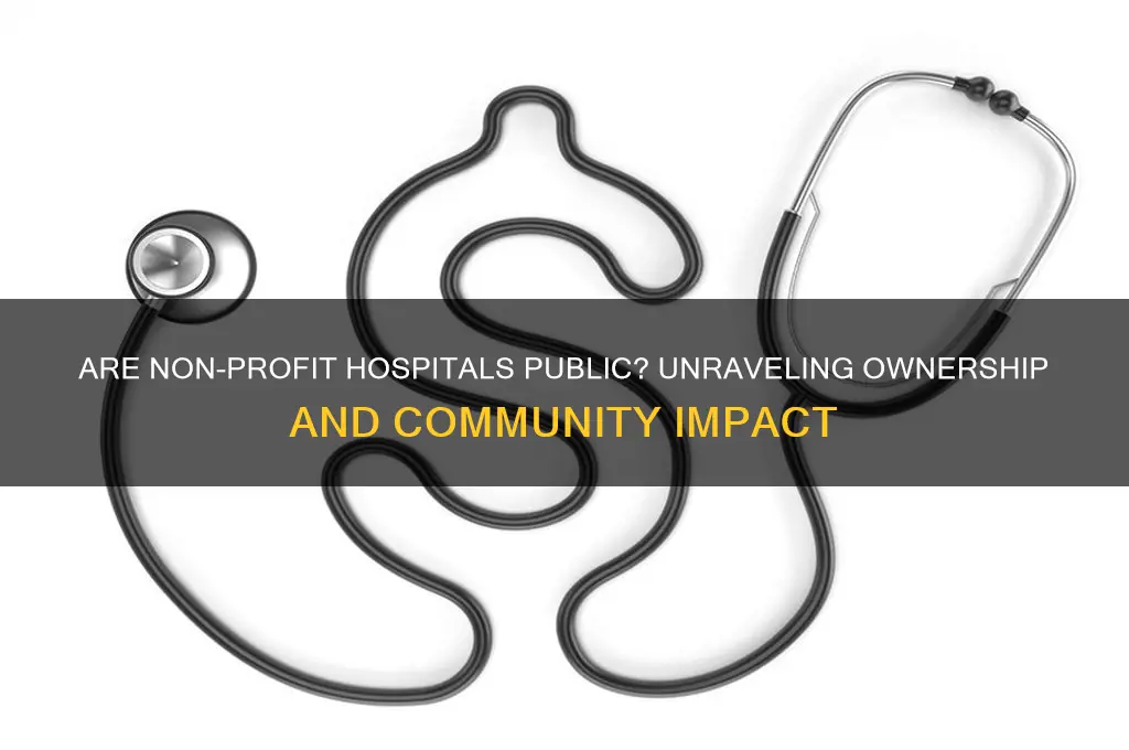 are non profit hospitals public