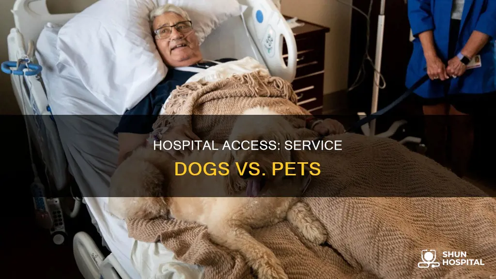 are non service dogs allowed in hospitals