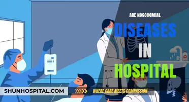 Understanding Nosocomial Diseases: Hospital-Acquired Infections Explained and Prevented
