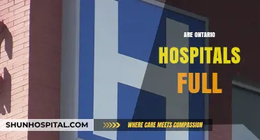 Are Ontario Hospitals Overwhelmed? Examining Capacity and Patient Care Challenges