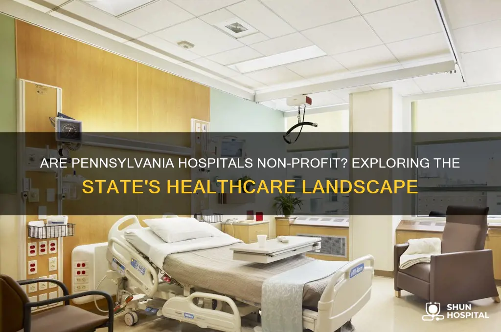 are pa hospitals non profit
