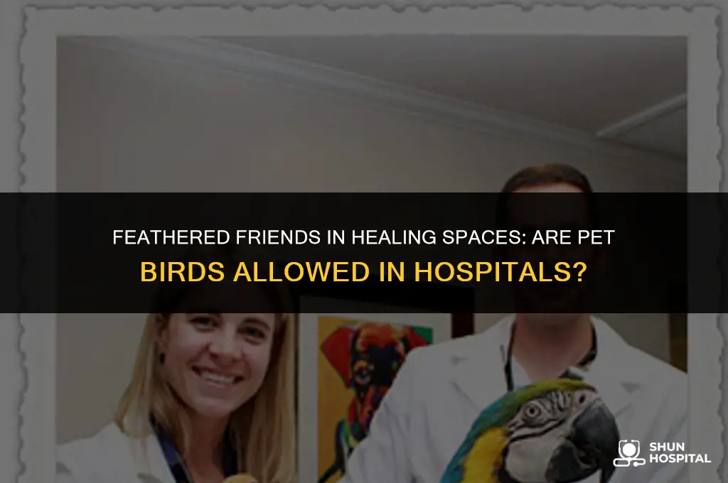 are pet birds allowed in hospitals