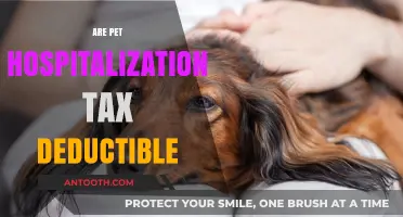 Can You Deduct Pet Hospitalization Costs on Your Taxes?