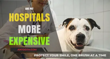 Are Pet Hospitals More Expensive? Uncovering the Costs of Pet Care