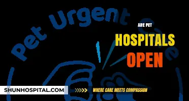 Are Pet Hospitals Open? Finding Emergency Care for Your Furry Friend