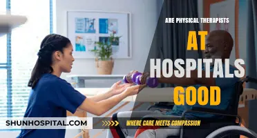 Exploring the Role of Physical Therapists in Hospital Settings: A Comprehensive Overview