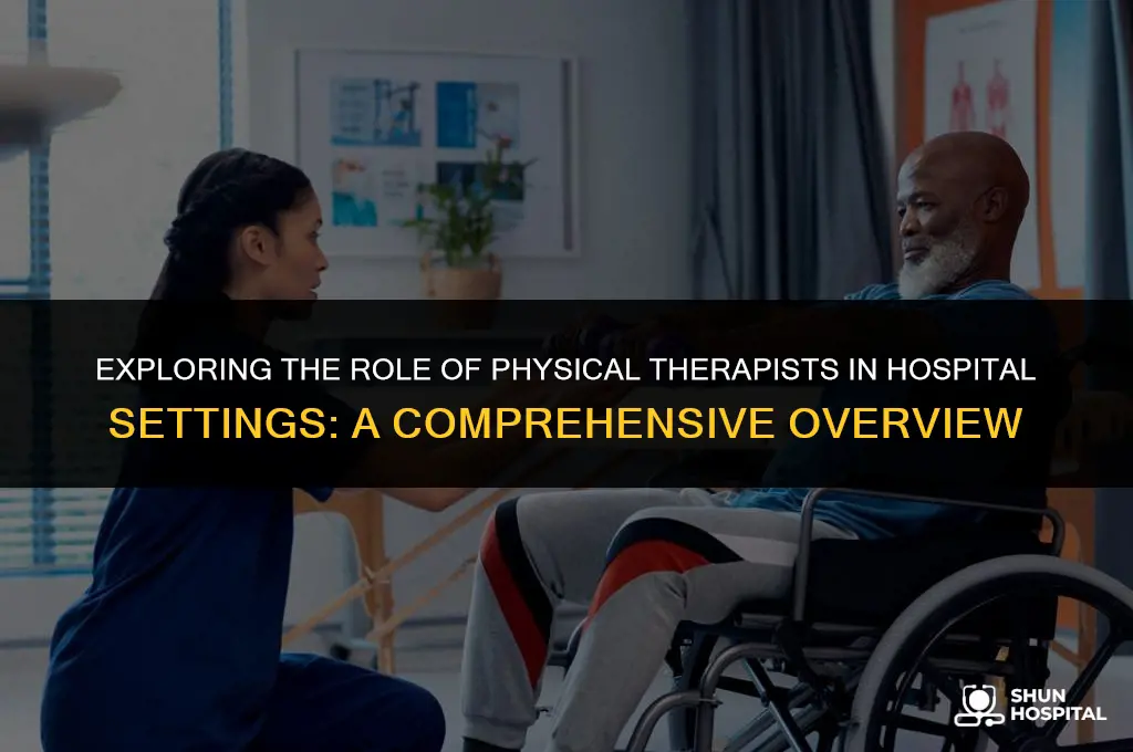 are physical therapists at hospitals good