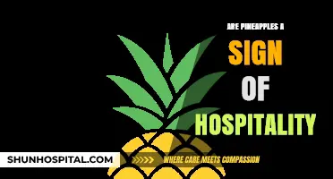 Sweet Welcome: The Pineapple's Symbolism in Hospitality