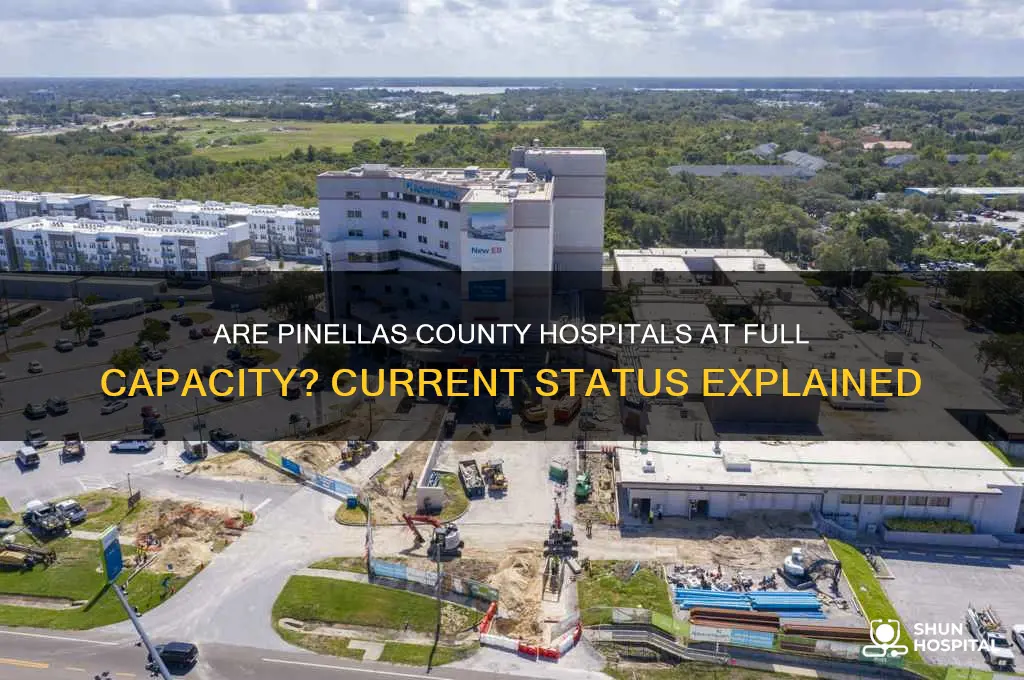 are pinellas county hospitals full