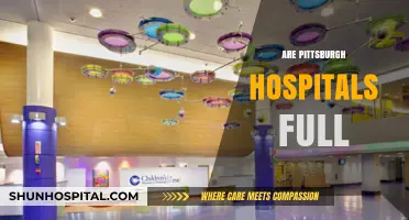 Are Pittsburgh Hospitals at Capacity? Current Status and Insights