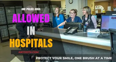 Healing Paws: The Role of Police Dogs in Hospital Settings