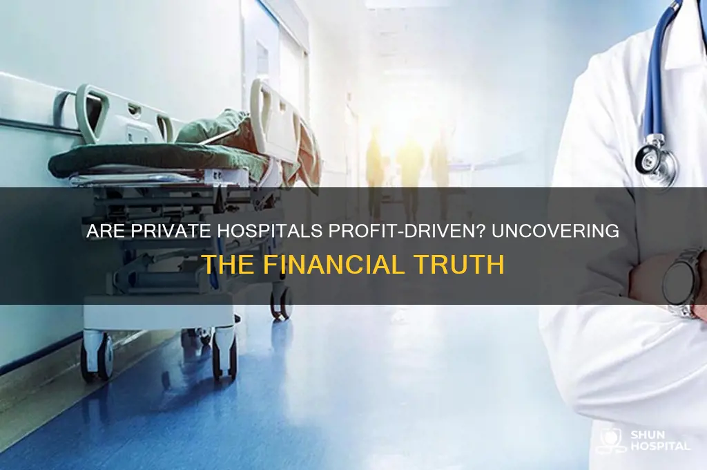 are private hospitals for profit