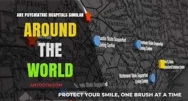 Psychiatric Hospitals: A Global Perspective