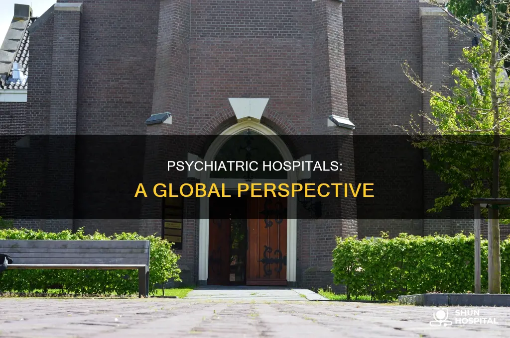 are psychiatric hospitals similar around the world