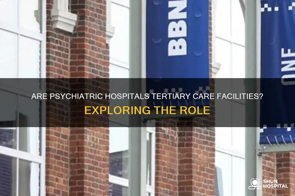 are psychiatric hospitals tertiary
