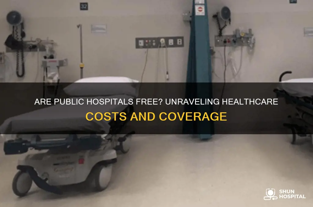 are public hospital free