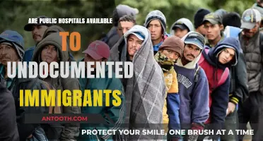 Undocumented Immigrants: Access to Public Hospitals