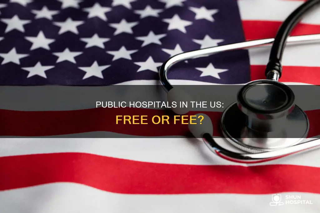 are public hospitals free in the us