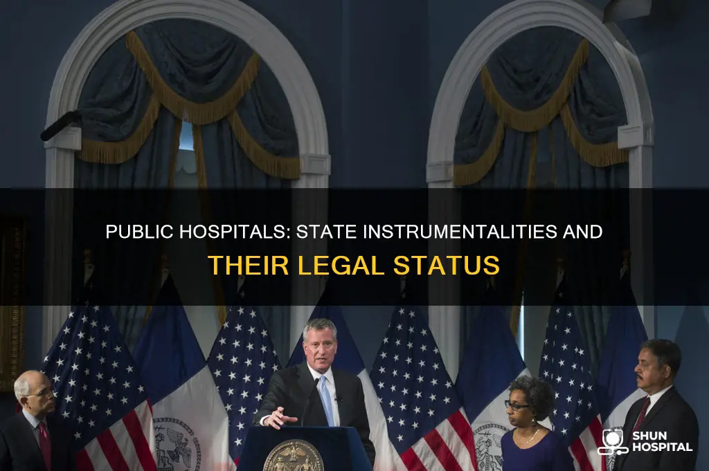 are public hospitals instrumentalities of the state