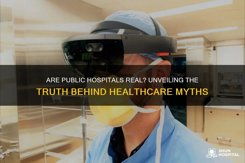 are public hospitals real
