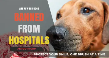 Raw-Fed Dogs: Hospital Access and the Law