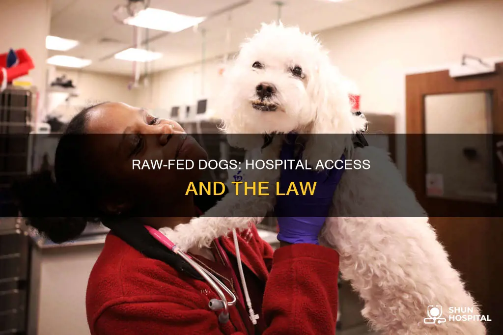 are raw fed dogs banned from hospitals