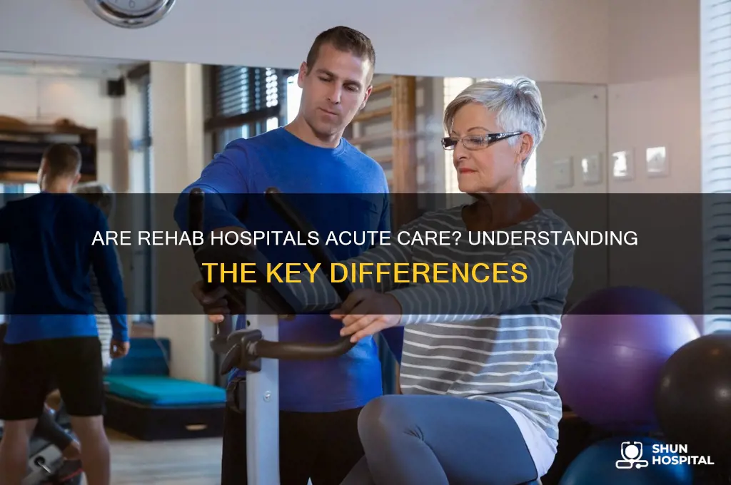are rehab hospitals acute care