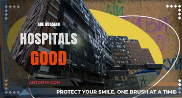 Are Russian Hospitals Good? Exploring Healthcare Quality and Patient Experiences