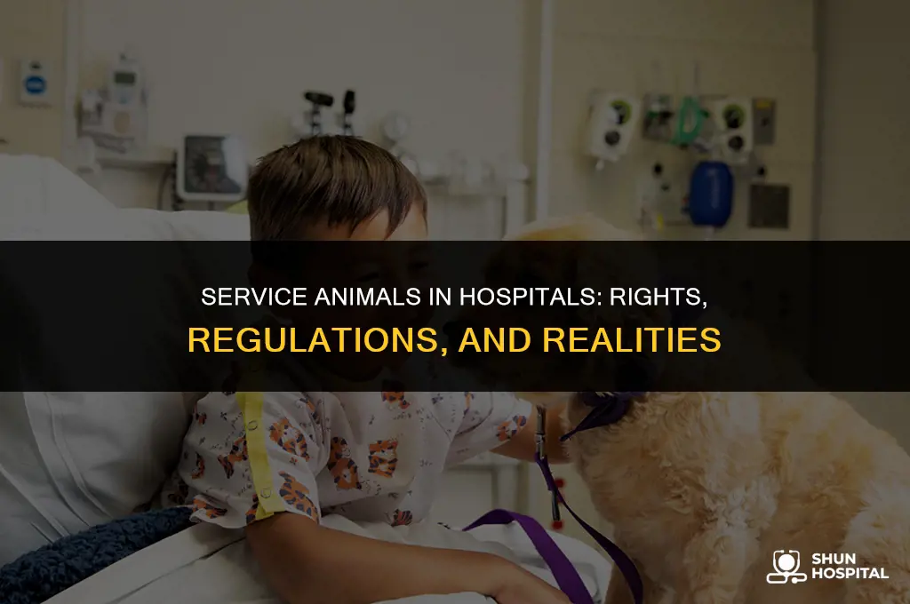 are service animals allowed in hospitals