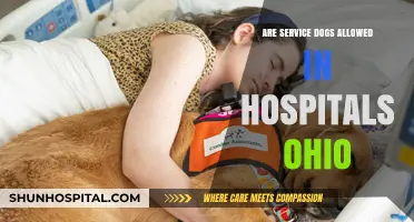 Service Dogs in Ohio Hospitals: What's the Law?